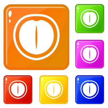 Macadamia somun simgeleri vektör renk ayarlamak