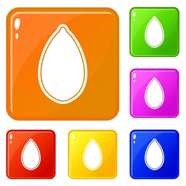 Conjunto de iconos de semilla de calabaza vector de color — Vector de stock