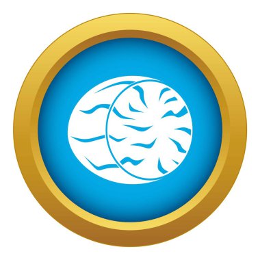 Hindistan cevizi simgesi mavi vektör izole yarısı