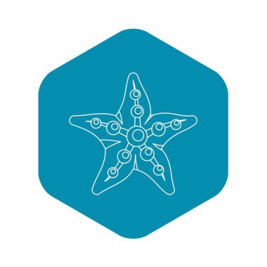 Deniz yıldızı simgesi, özet biçimi