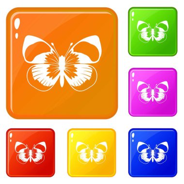 Kelebek simgeler kümesi vektör renk