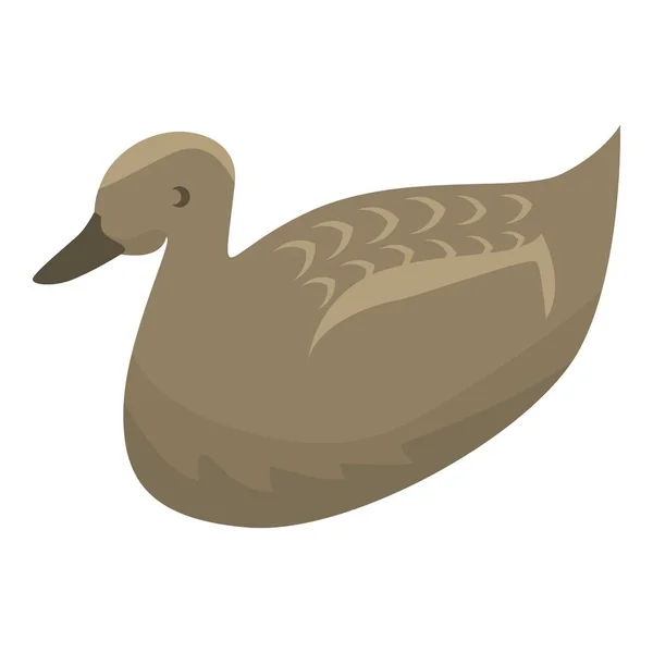 Wild duck icon, isometric style — Stock Vector