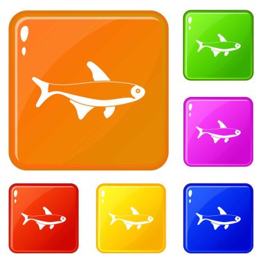 Balık simgeler kümesi vektör renk