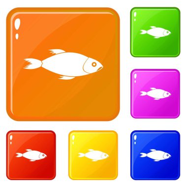 Balık simgeler kümesi vektör renk