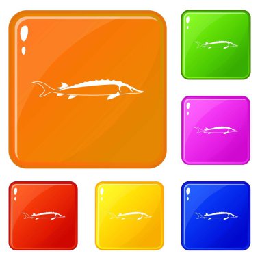 Balık simgeler kümesi vektör renk