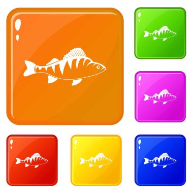 Balık simgeler kümesi vektör renk