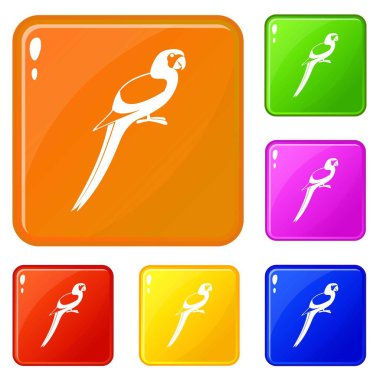 Simgeler vektör rengini ayarlamak papağan