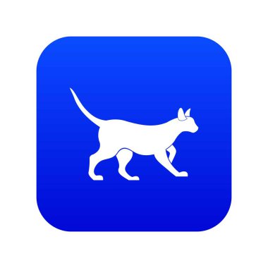 Kedi simgesi dijital mavi