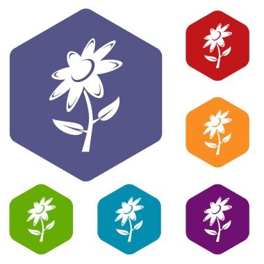 Çiçek simgeleri vektör hexahedron