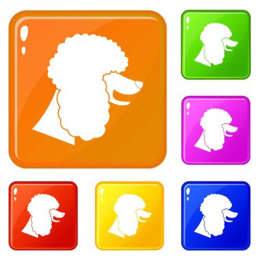 Kaniş köpek simgeleri vektör renk ayarlamak