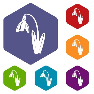 Ölü çiçek simgeleri vektör hexahedron