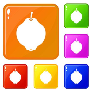 Ayva meyve simgeleri vektör renk ayarlamak