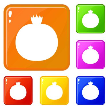 Olgun nar simgeleri vektör renk seti