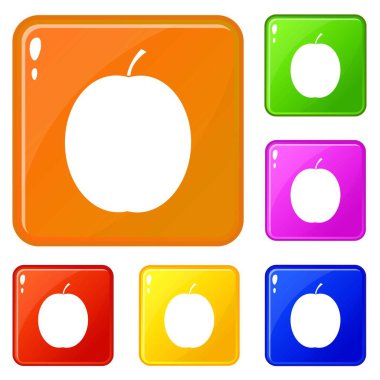 Taze kayısı simgeleri vektör rengini ayarlayın