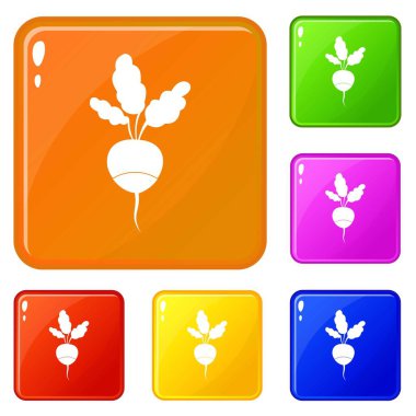 Taze turp simgeleri vektör renk ayarlamak