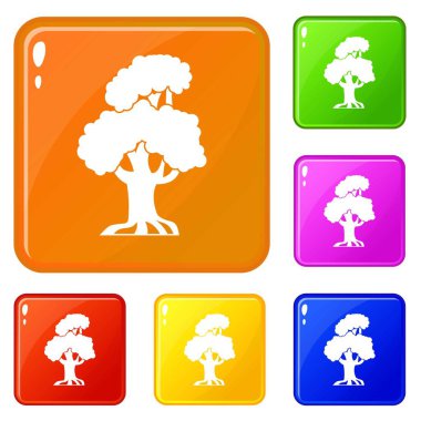 Meşe simgeleri vektör rengini ayarlar