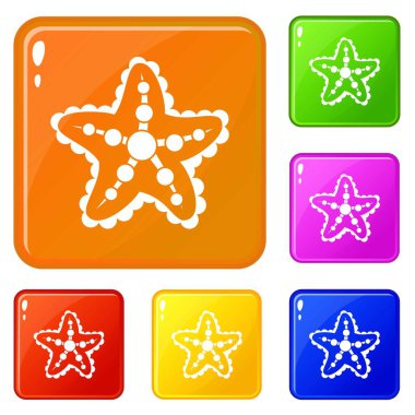 Deniz yıldızı simgeler vektör renk ayarla