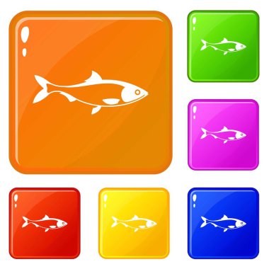 Balık simgeler kümesi vektör renk