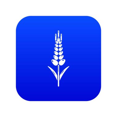 Buğday simgesi mavi vektörü