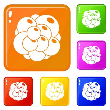 Yumurtalık simgeleri vektör rengini ayarlar