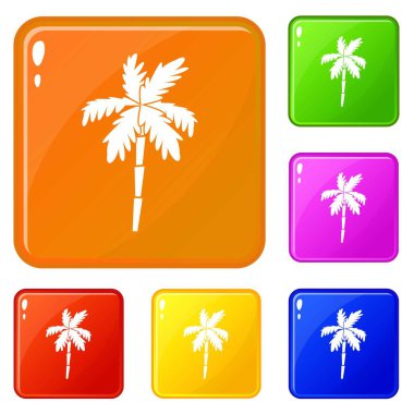 Palmiye ağacı simgeler kümesi vektör renk