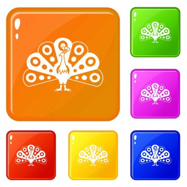 Akan kuyruk simgeleri ile Peacock vektör renk seti