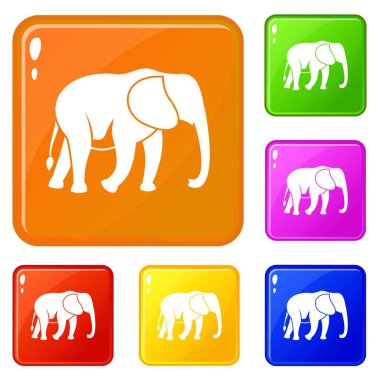 Vahşi fil simgeler vektör renk ayarlamak