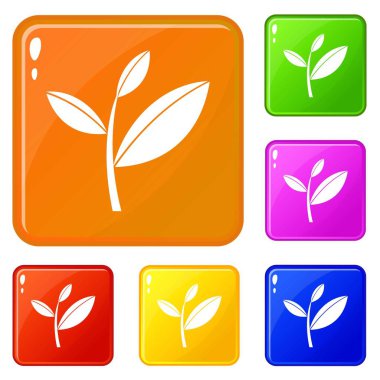 Çay yaprağı filiz simgeler vektör renk ayarlamak