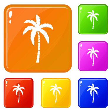 Palmiye ağacı simgeler kümesi vektör renk