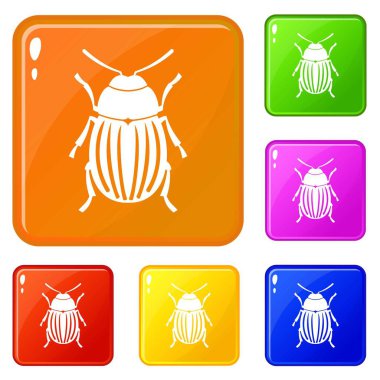 Colorado patates böceği simgeler vektör renk ayarlamak