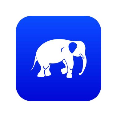 Fil simgesi dijital mavi