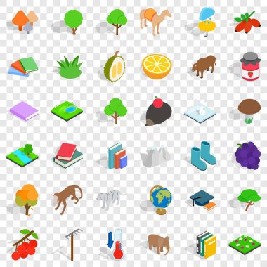 Ağaç Icons set, izometrik stili