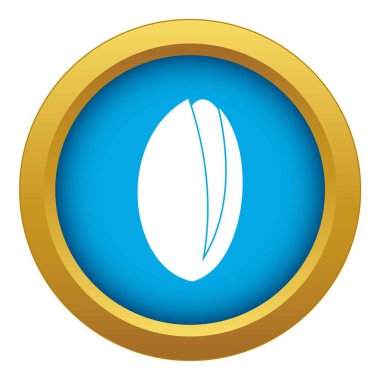 Fıstıklı vektör izole mavi