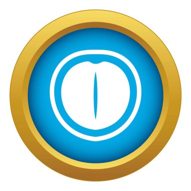 Macadamia somun simgesi mavi vektör izole