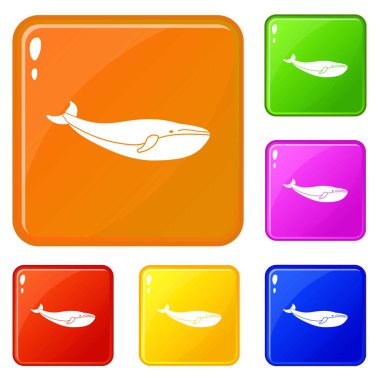 Simgeler kümesi vektör renk balina