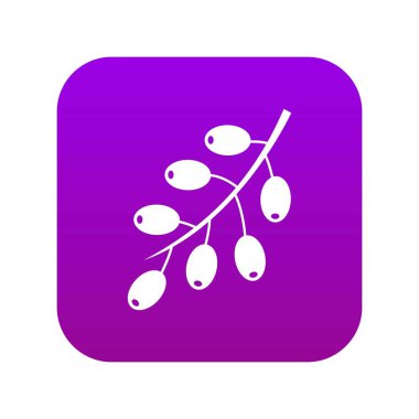 Böğürtlen şube simgesi dijital mor