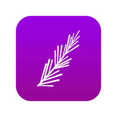 Biberiye baharat simgesi dijital mor