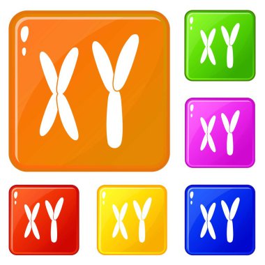 İnsan kromozomları simgeleri vektör rengini ayarlar