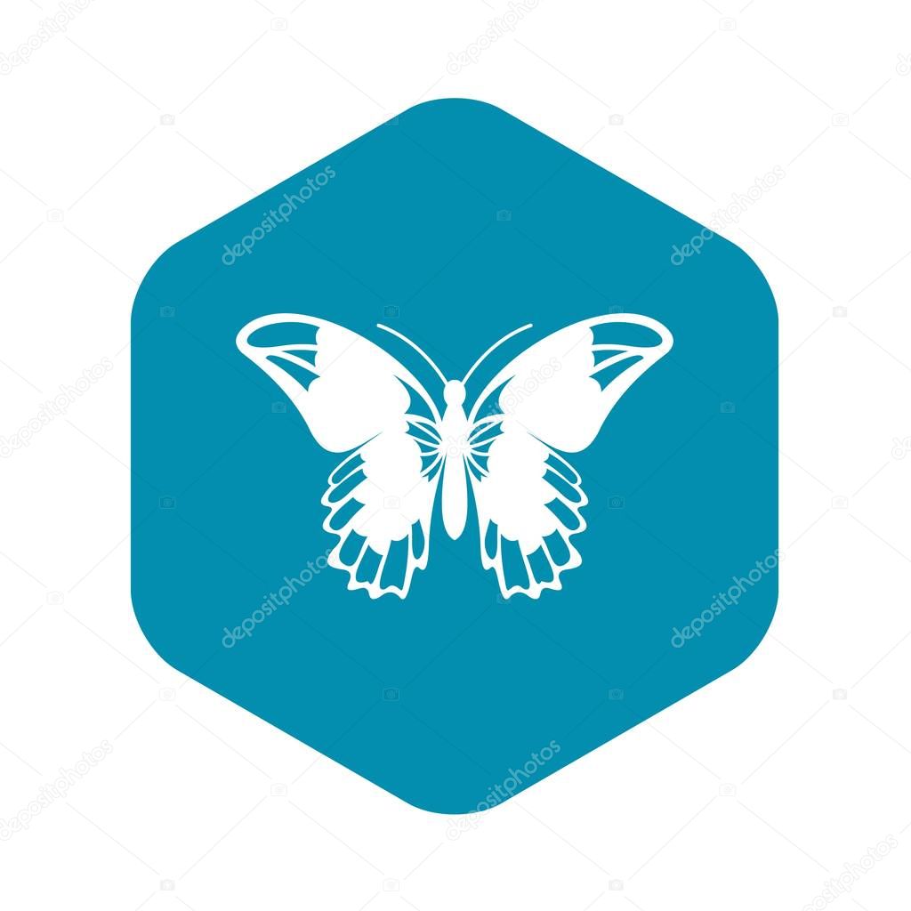 Admiral butterfly icon, simple style
