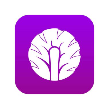 Brokoli simgesi dijital mor taze dilim