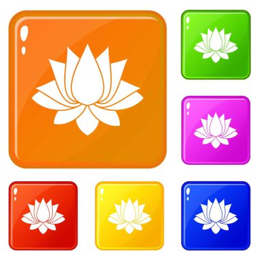 Lotus simgeleri vektör rengini ayarlamak