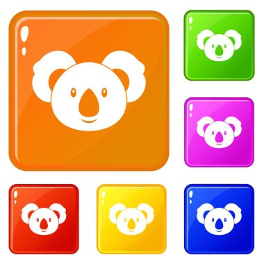Koala simgeler vektör renk seti