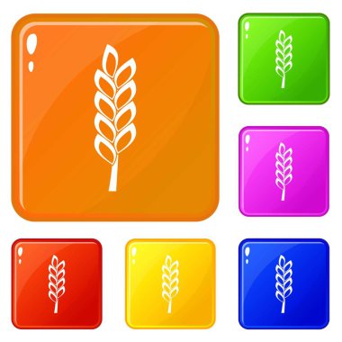 Bir başak simgeleri vektör rengini ayarlar