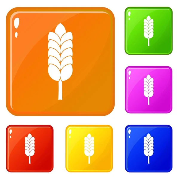 Grote Spica icons set vector kleur — Stockvector