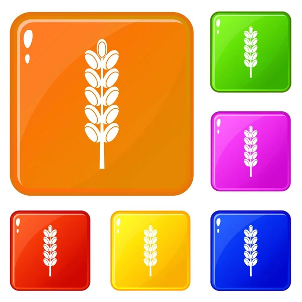 Field spike icons set vector color — Stock Vector