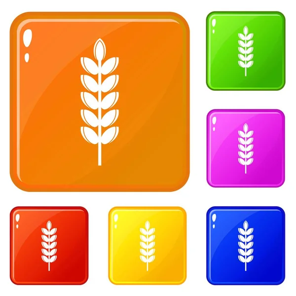 Iconos de espiga de grano grande set vector de color — Vector de stock