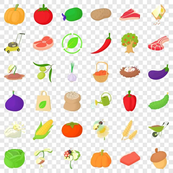 Knoflook iconen set, isometrische stijl — Stockvector