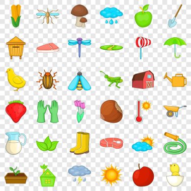 Hasat Icons set, izometrik stili