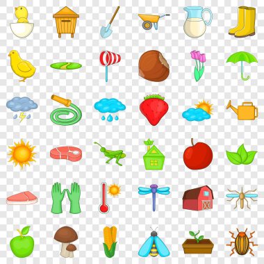 Ladybag Icons set, izometrik stili