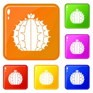 Lophophora kaktüs simgeleri vektör renk ayarlamak